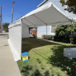 Paquete De Carpa 10x30