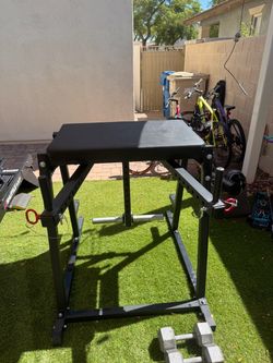 Titan Fitness “Reverse hyper”