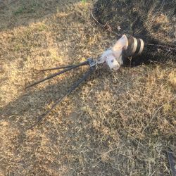 Baseball/softball Pitching Machine W/ Net