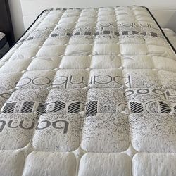 Twin Mattress