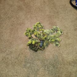 Aquarium / Reptile decoration