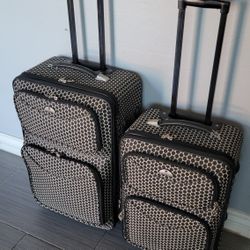 LARGE AND CARRY LUGGAGES