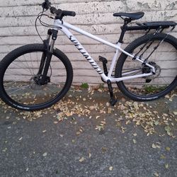 Specialized Rockhopper Comp 29er
