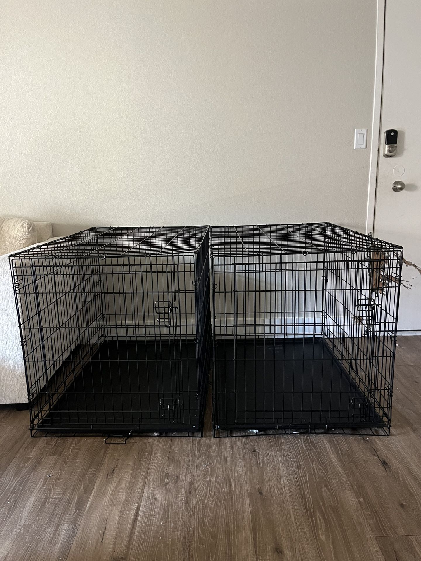 $50 each for XL dog kennel