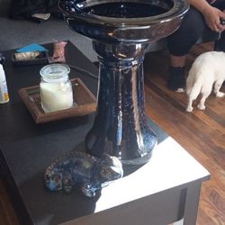 Chameleon With Bird Bath