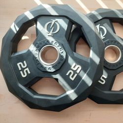 Barbell Plate Weights 25 Pounds Lbs. 