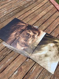 Brand new NEVER USED 3 pc lion canvas wall art! $29 or OBO Willing to Negotiate!