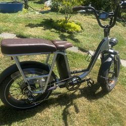 Rad Power Bikes E-bike 