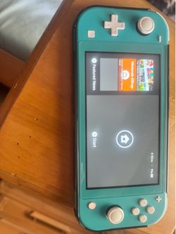 Nintendo switch lite