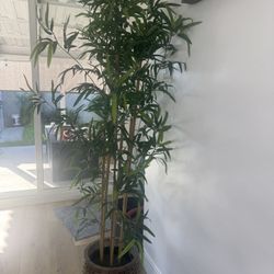Artificial Plants 