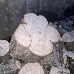 Maple Wood Slabs