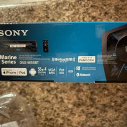 FM/AM DIGITAL MEDIA PLAYER