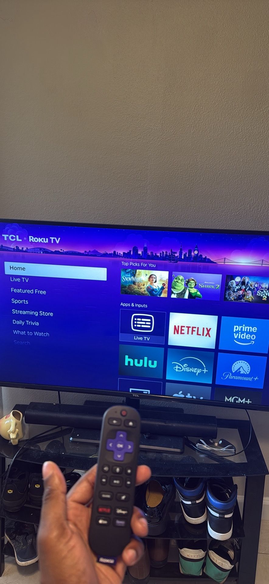 Roku 50 inch TCL Smart Tv