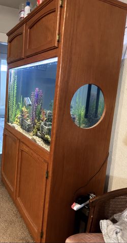 100 Gallon Fish Tank