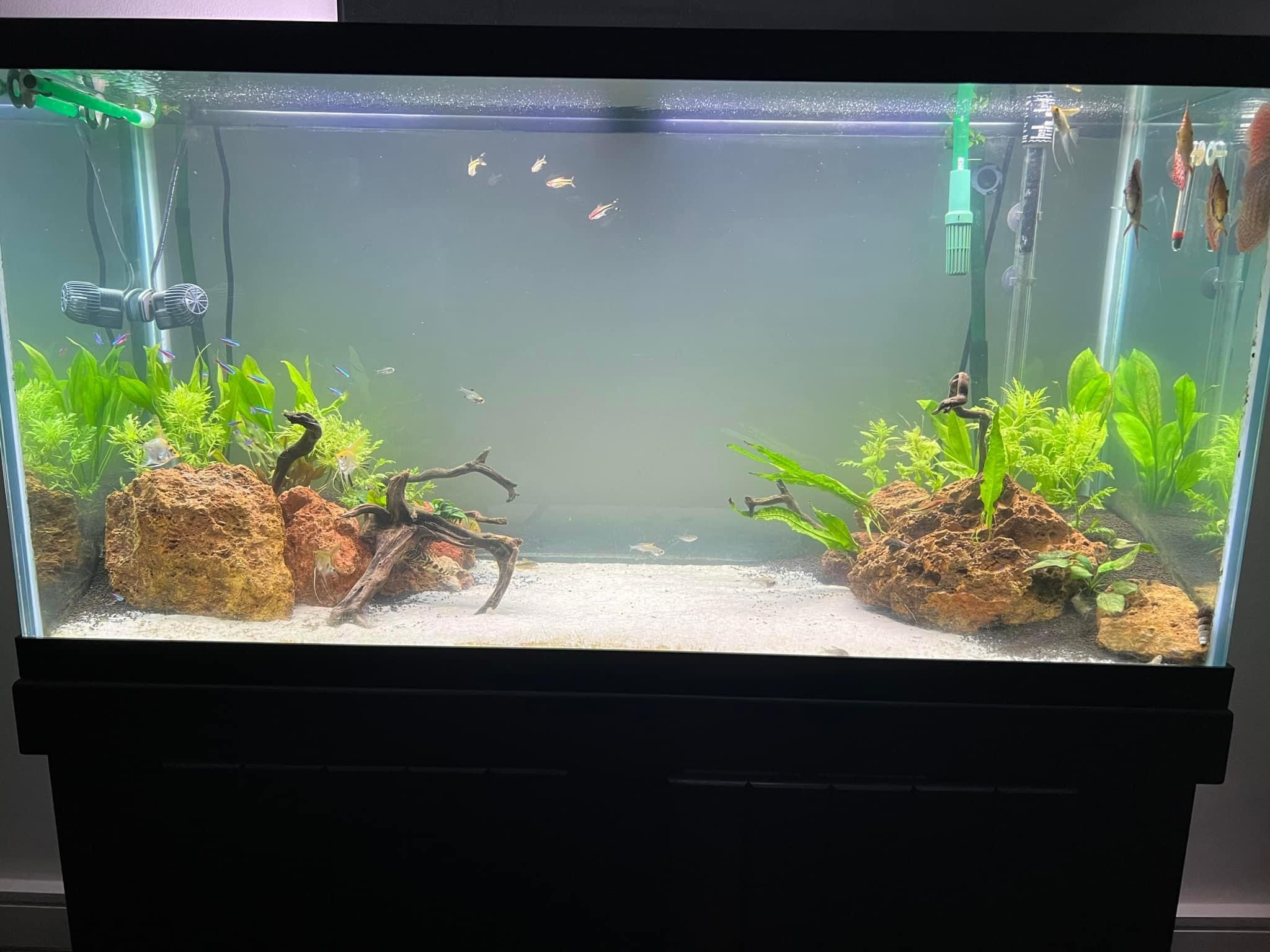 90G tank/stand combo 