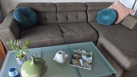 Large Pull out sectional sofa