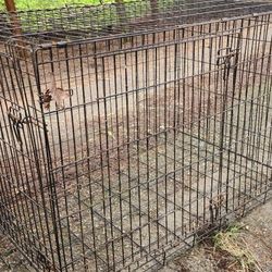 Kennel
