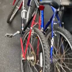 Bikes 