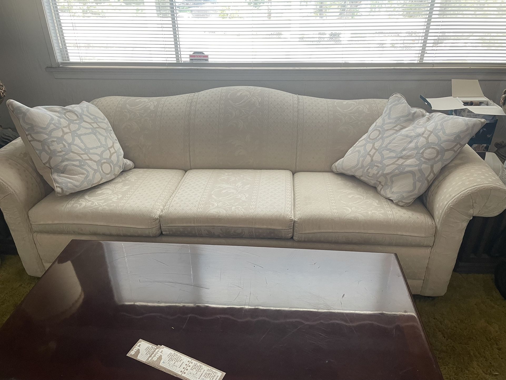 Sofa And Live Seat Sleeper