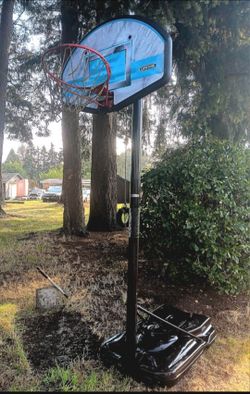 Free basketball hoop