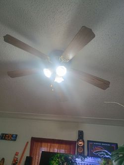 Ceiling fan