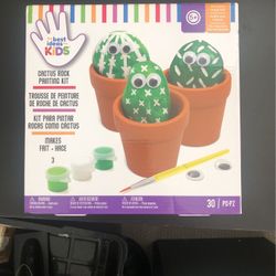 Craft cactus rock painting kit