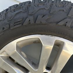 Falken Wild peak Tires/wheels
