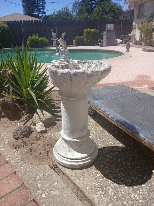 Pedistol Bird Bath
