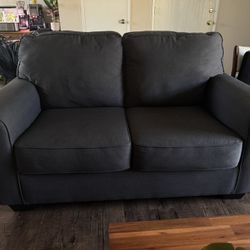 Couch Loveseat From Living Spaces