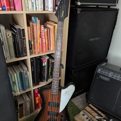 Epiphone Thunderbird IV Bass