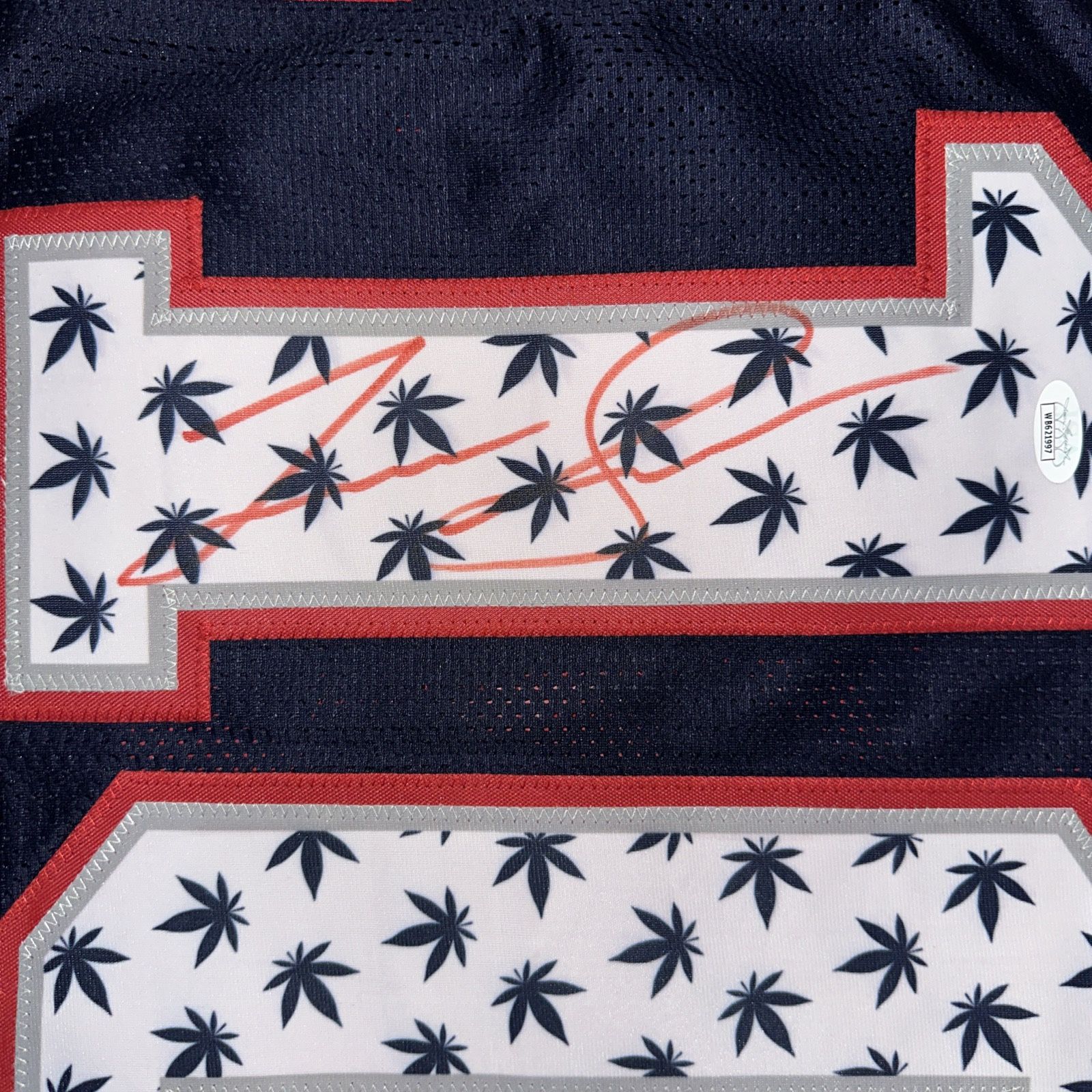 Autographed And Authenticated Pro Jerseys