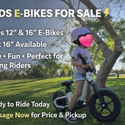 Stacyc 12/16 style e-drive