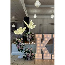 LED Butterflies And Marquee Letters 