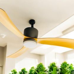 Ceiling fans