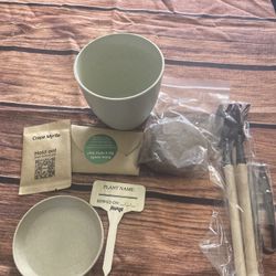 Bonsai Tree Seed Kit 