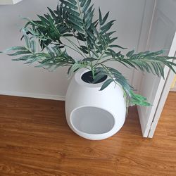 Litter Box 