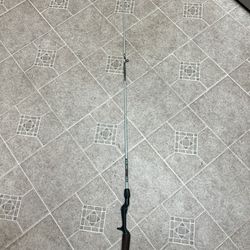 Zebco Centennial 4020 Fishing Rod