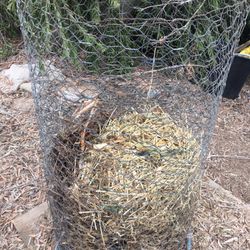 Chicken Feeder