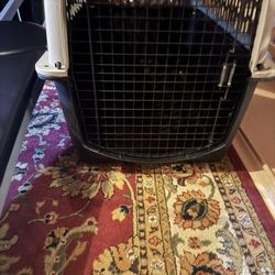 EX LG Dog Kennel
