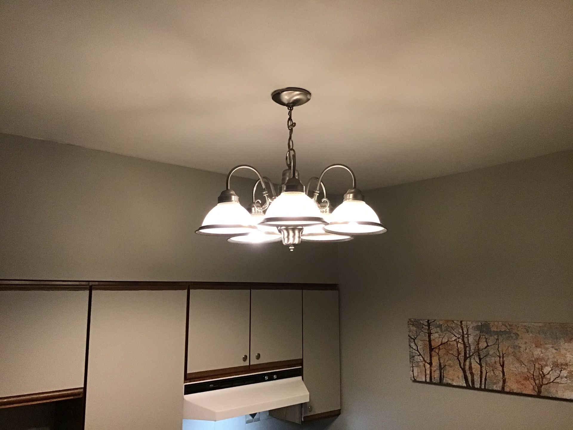 Hampton bay brush nickel light fixture chandelier
