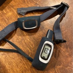 Dog Shock Collars All New