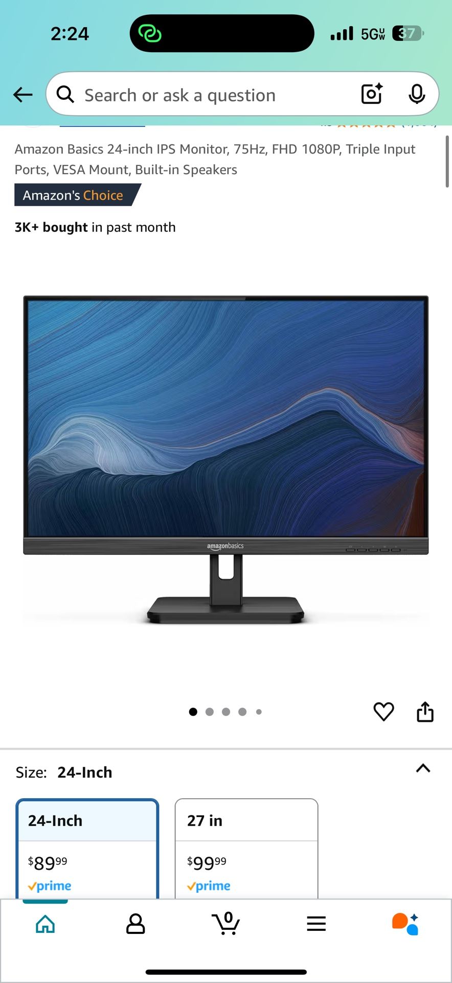 Computer Monitor
