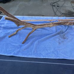 36 Inch Terrarium Branch