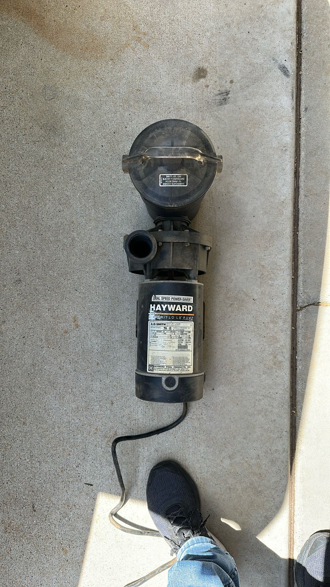 Hayward Pool Pump
