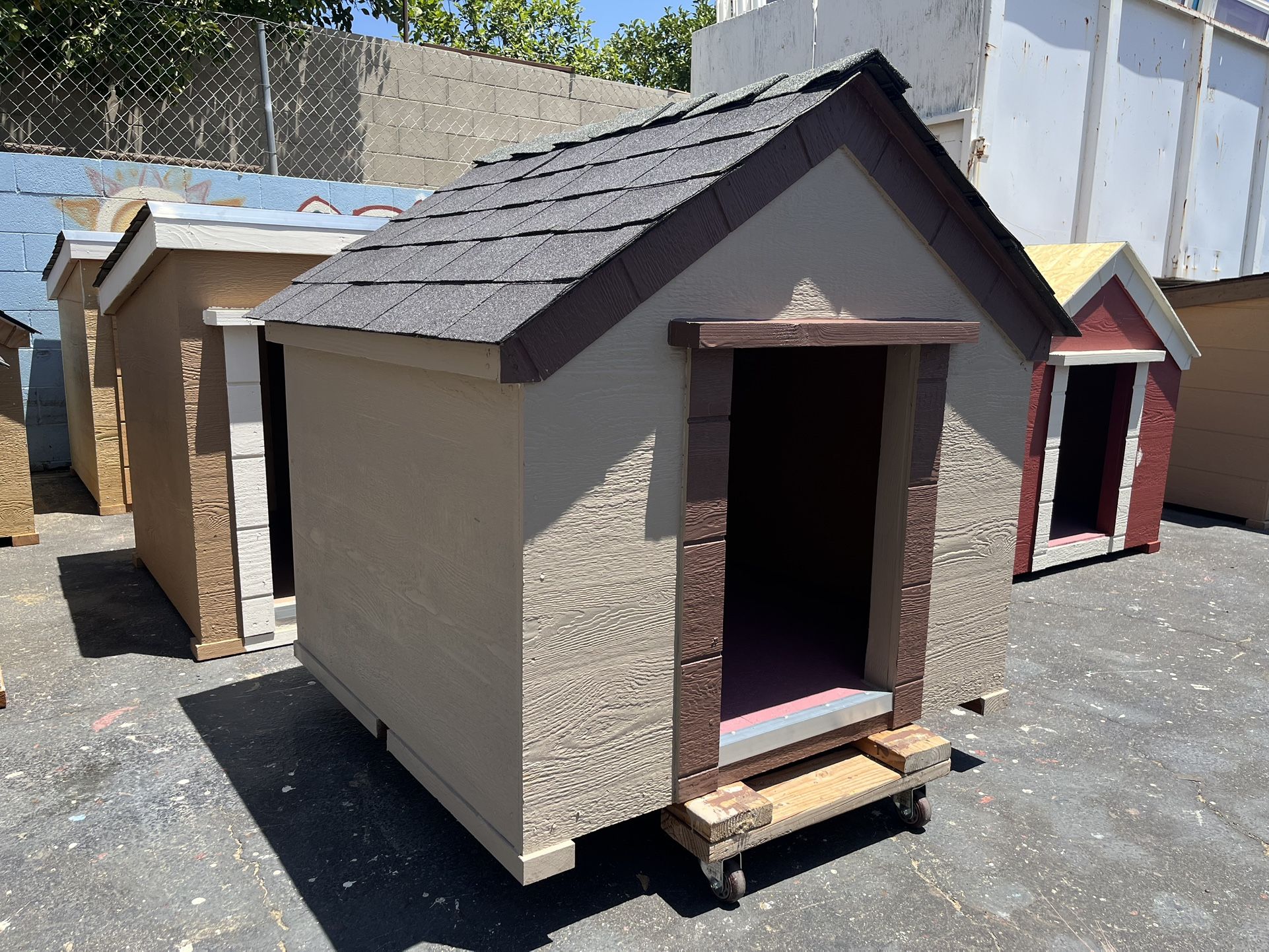 Dog House With Delivery Today June 21