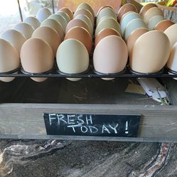 Fresh Eggs! Happy Chickens Lay Great Eggs!