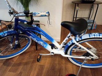 Electric bike