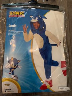 Sonic costume