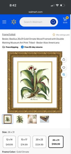 Basilius Besler 26x31 Gold Ornate Wood Framed with Double Matting Museum Art Print Titled - Besler Aloe Americana
