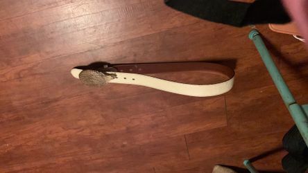 Snake skin belt